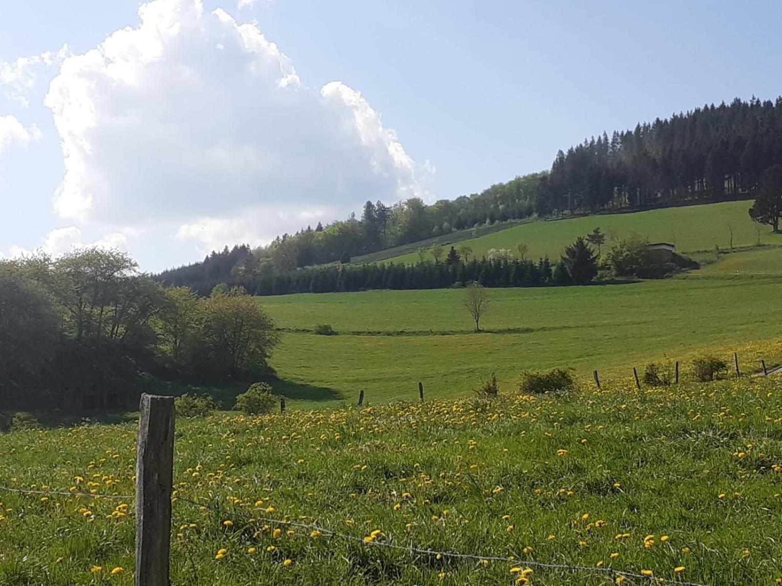 Ferienwohnungen Sternenhimmel Whg 1 Medebach Buitenkant foto