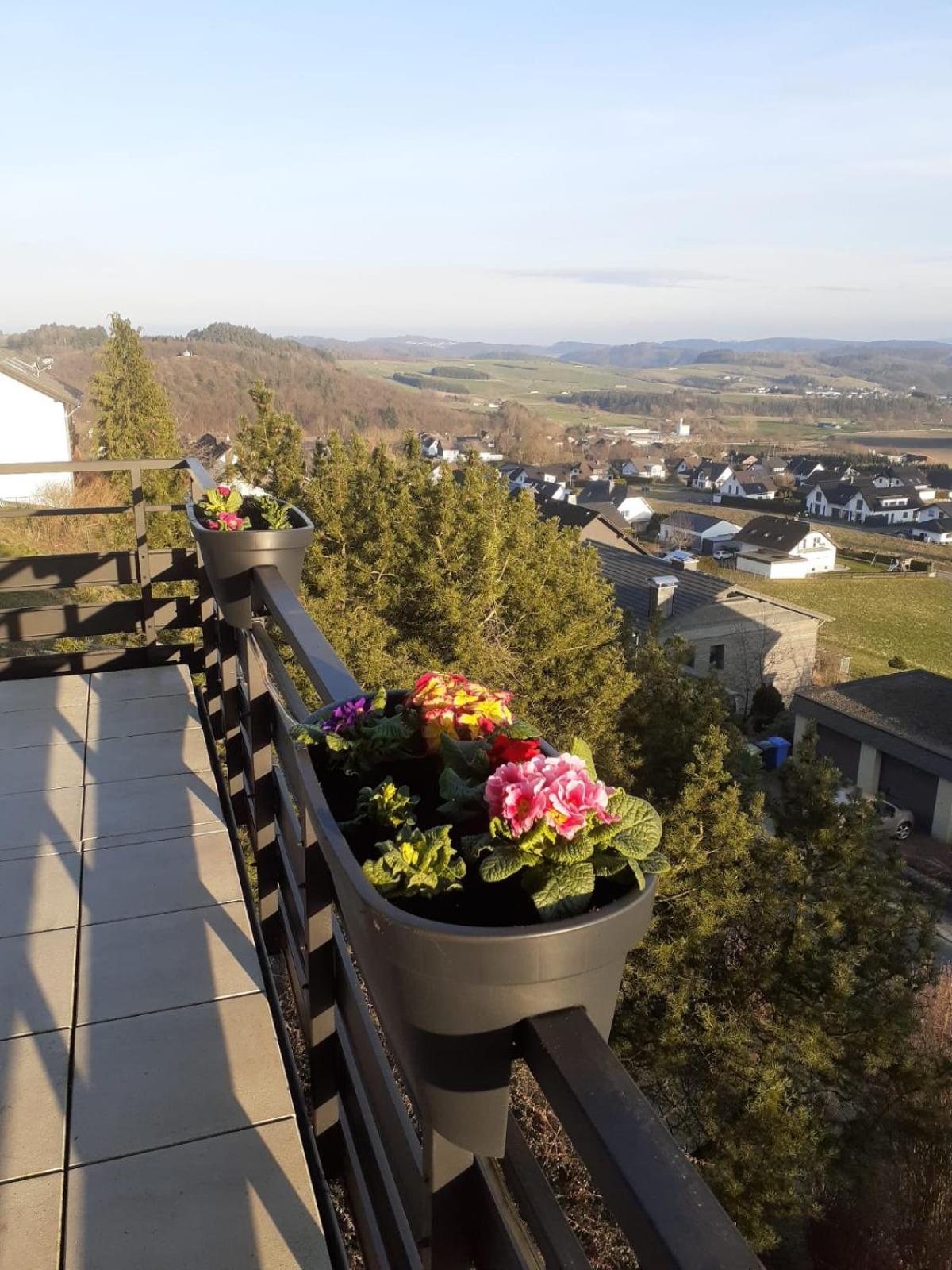 Ferienwohnungen Sternenhimmel Whg 1 Medebach Buitenkant foto