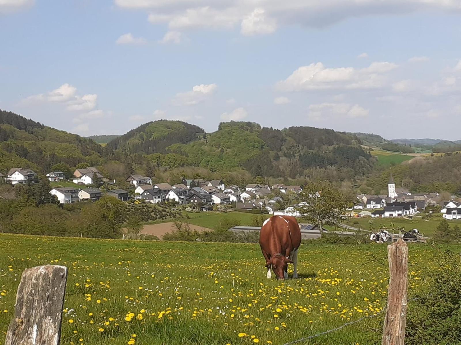 Ferienwohnungen Sternenhimmel Whg 1 Medebach Buitenkant foto