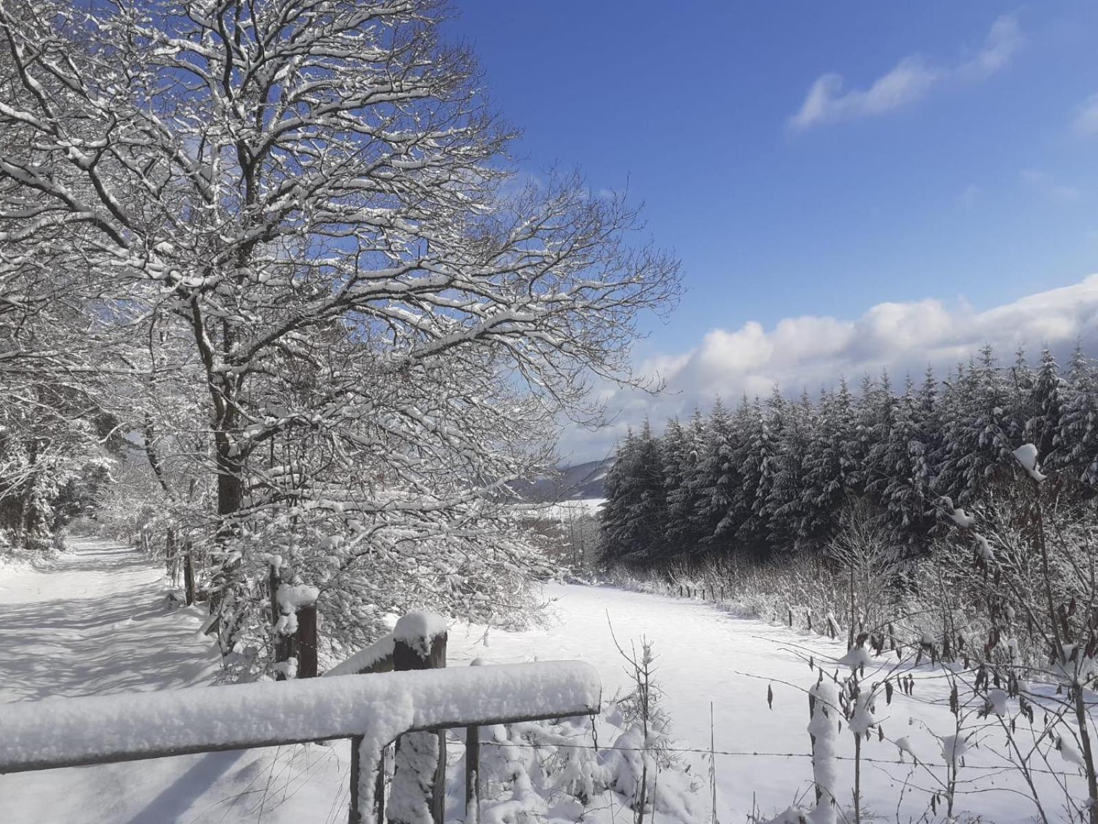 Ferienwohnungen Sternenhimmel Whg 1 Medebach Buitenkant foto